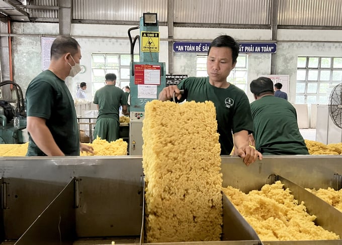 Giá cao sẽ làm tăng kim ngạch xuất khẩu cao su Việt Nam